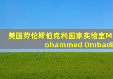 美国劳伦斯伯克利国家实验室Mohammed Ombadi